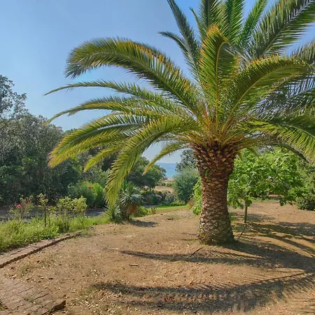 Villa Tiuccia Calcatoggio